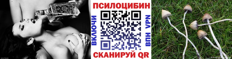 Галлюциногенные грибы GOLDEN TEACHER  Купить закладки  Себеж 